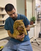 ვეტმედი