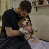 ვეტმედი