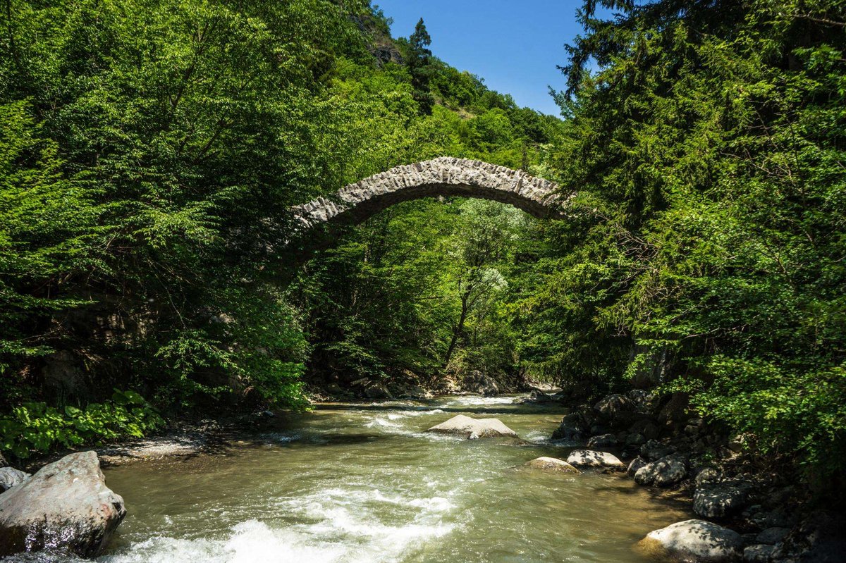 View of the Queen Tamar Bridge in Rkoni