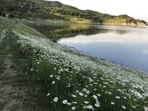Algeti Reservoir