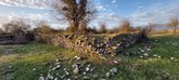 Восьмиапсидная церковь в Ноджихеви