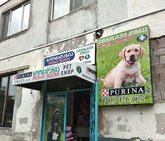 Четыре Лапы