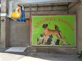 Tbilisi Pet Shop