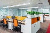DL Consulting