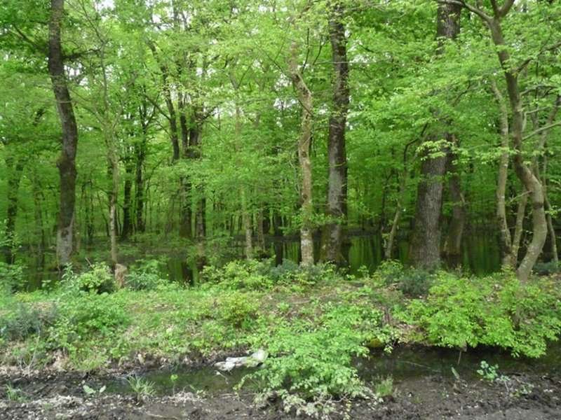 Adjametsky Reserve