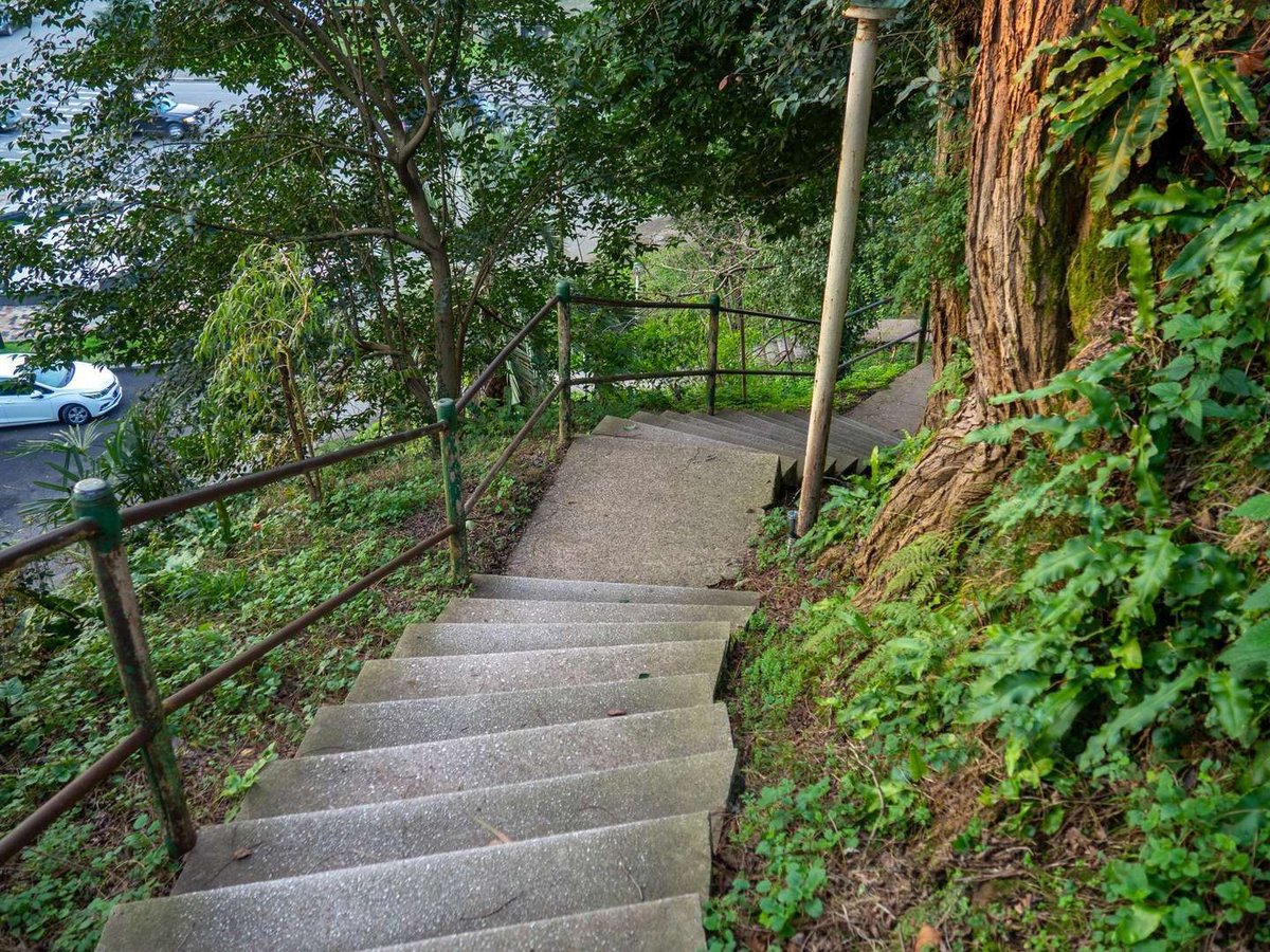 architecture-park-staircase-among-trees-stairs