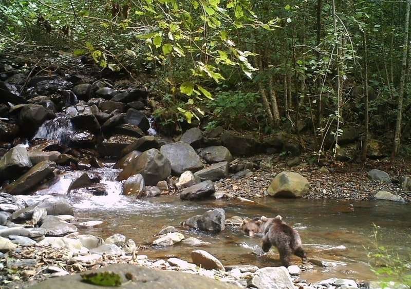 River in Batsara-Babaneuri