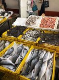 Seafood Market