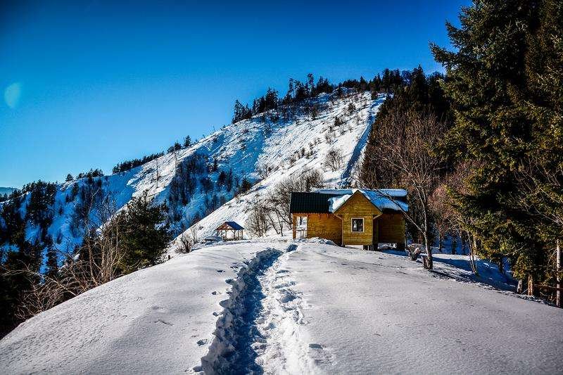 Borjomi-Kharagauli National Park