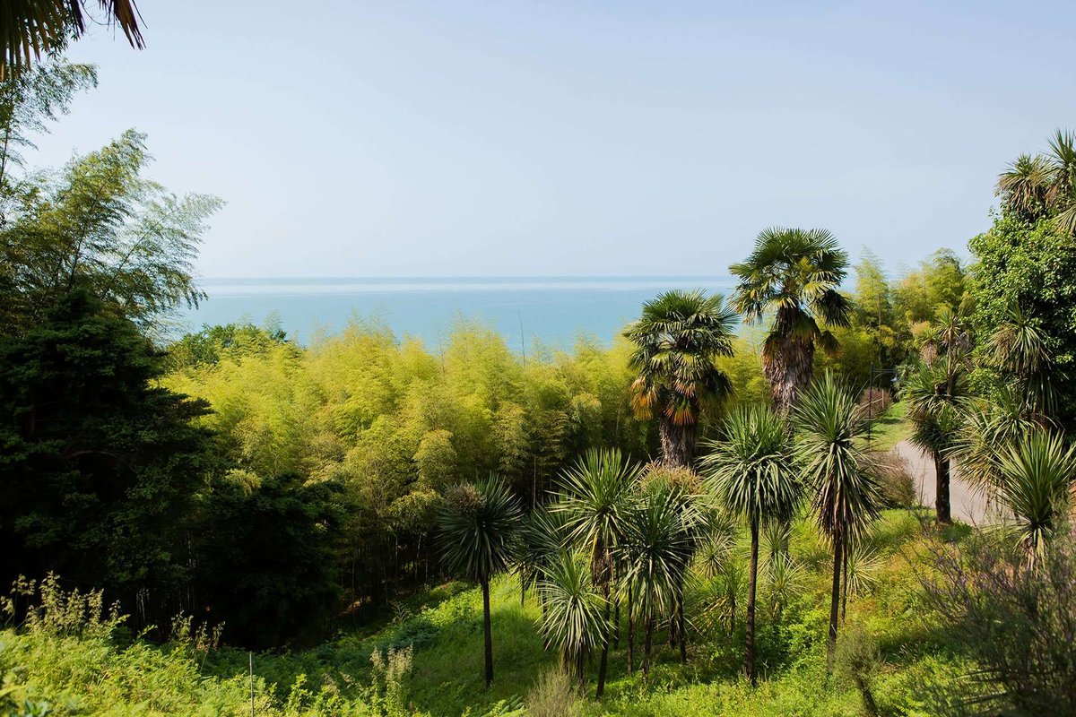 botanic-garden-batumi-georgia-01