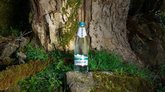 IDS Borjomi Georgia