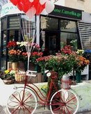 Интернет-магазин цветов "Camellia"