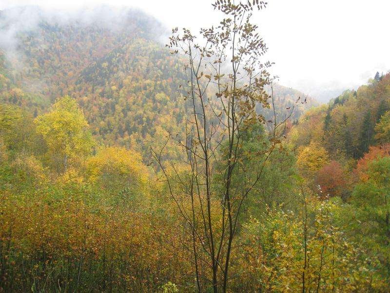 Dzama River Valley