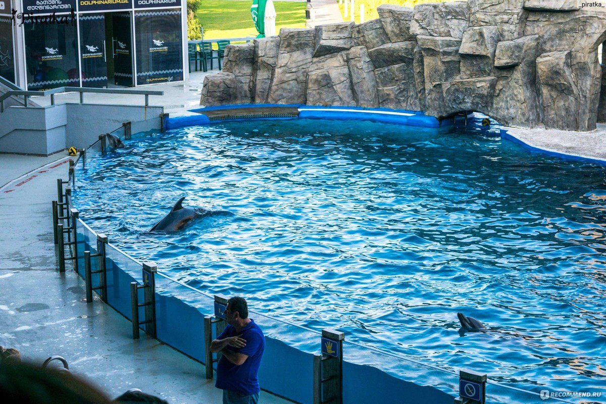 dolphinarium-batumi