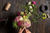 Жасмин