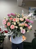 Camellia