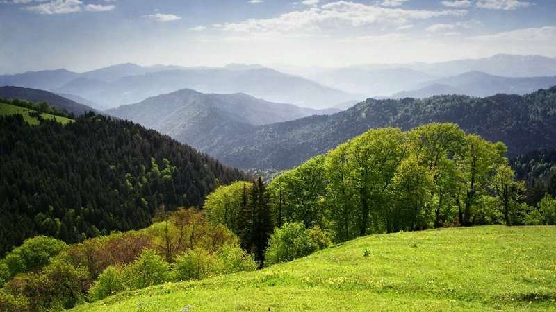 View of the tugai forest