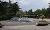 Fountain Tree of Life