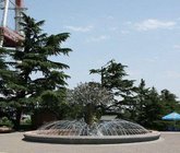 Fountain Tree of Life