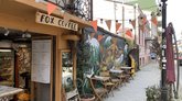 Fox Coffee