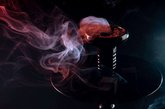 shesha arbi