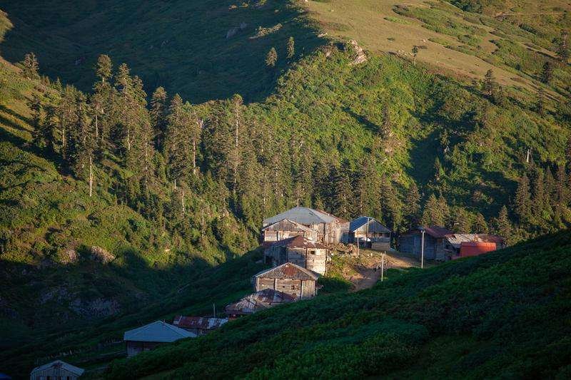 View of Gomismta