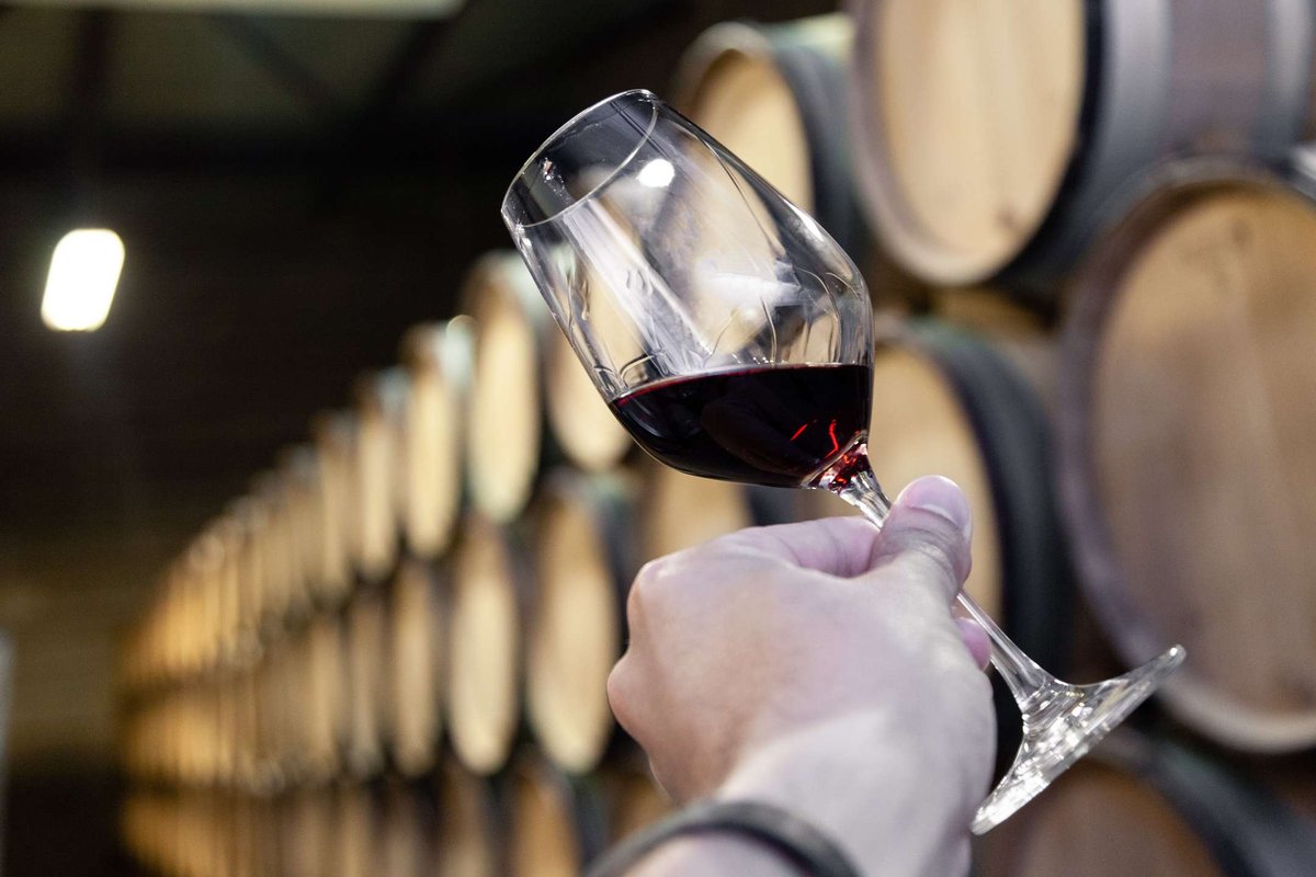 hand-with-glass-of-red-wine