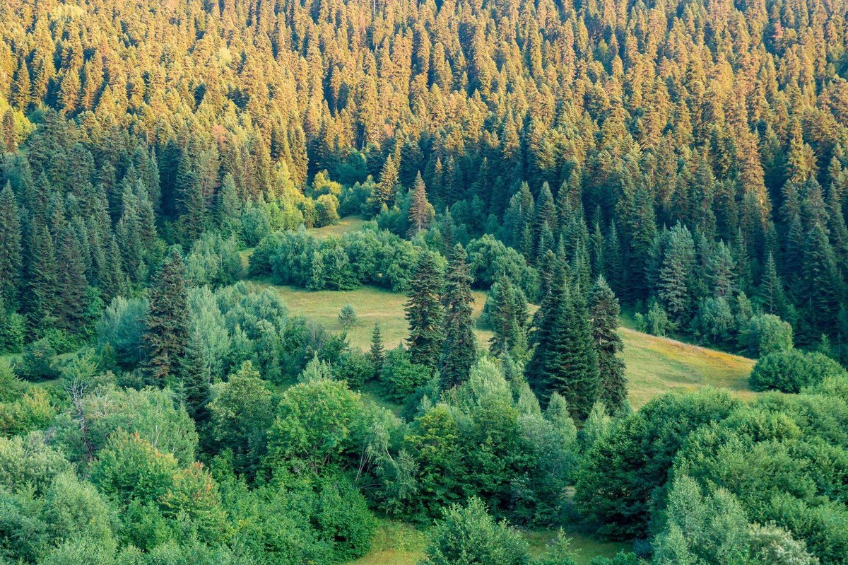 hatsvali-mountain