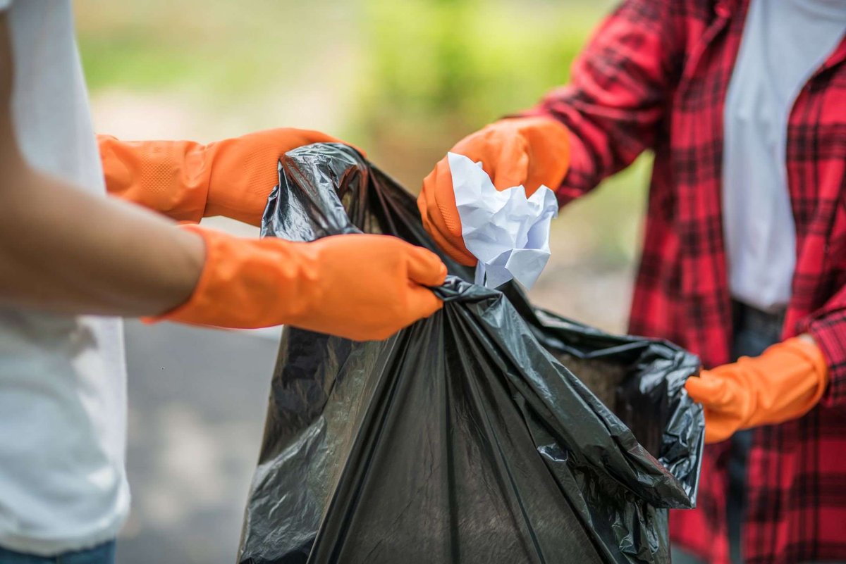 how-to-carry-out-garbage-removal-from-the-terri