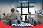 IQ Clinic