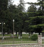 საგარეჯოს ადგილობრივი ისტორიის მუზეუმი