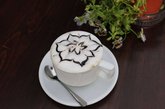 Kutaisi Gardenia