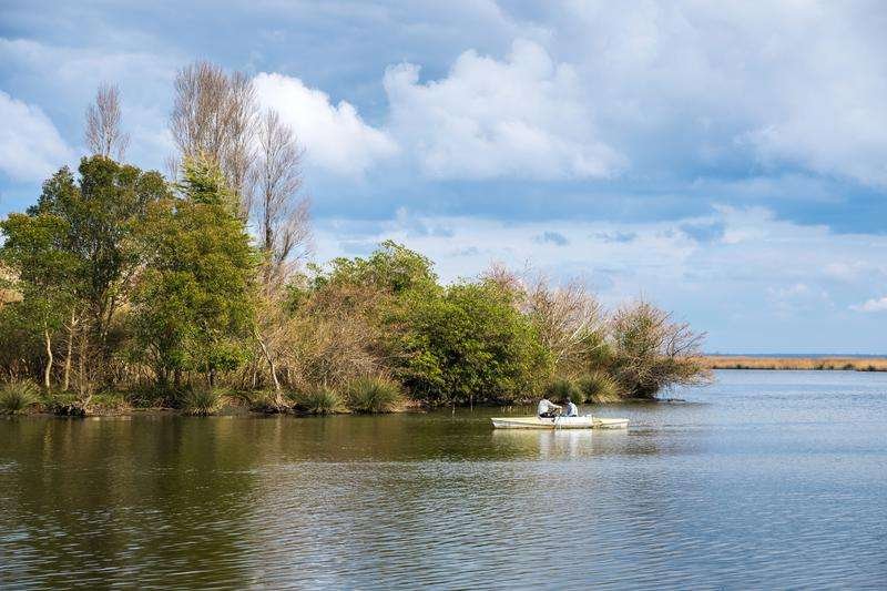 Lake Paliastomi in the Colchis National Park