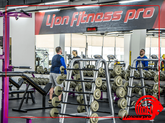 Lion Fitness PRO