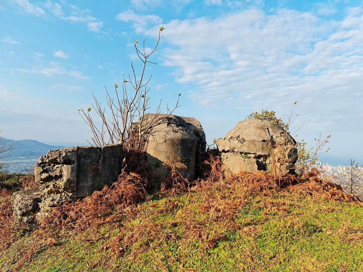 Форд Анария