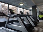 Matrix fitness (Isani)