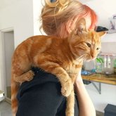 Котокафе "Мяу Мама"