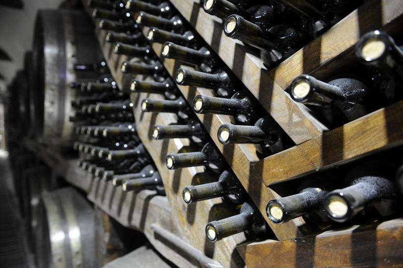mukhran giorbelidze wine cellar
