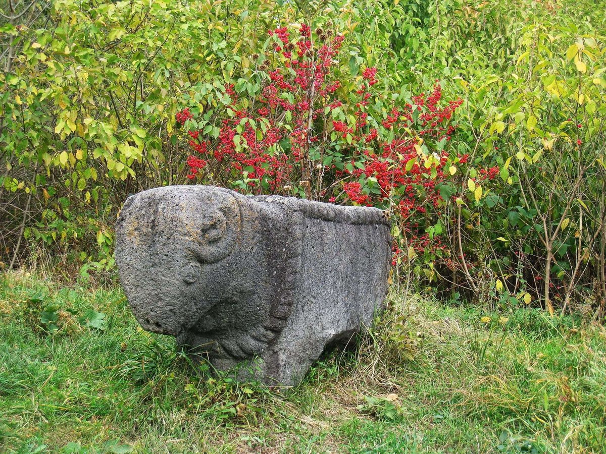 muzey-zapovednik-Dmanisi