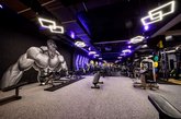 MyFitnessGe