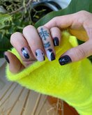 ნეილ ტონი