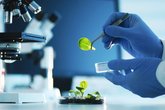 State Laboratory of Agriculture