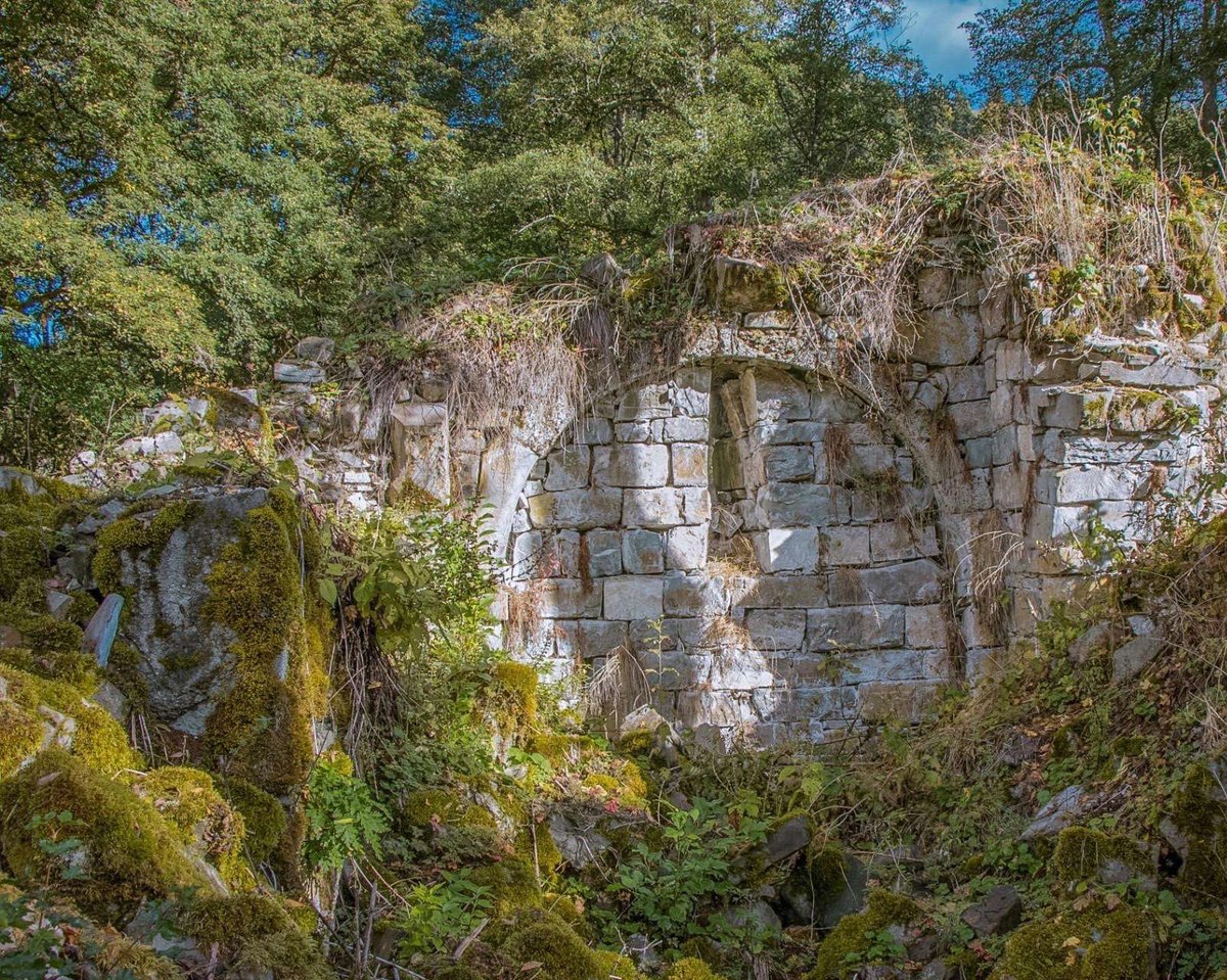 nedzvis-monaster