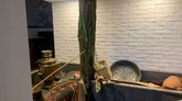 Старое время