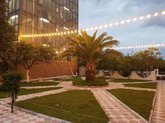 Orange Garden