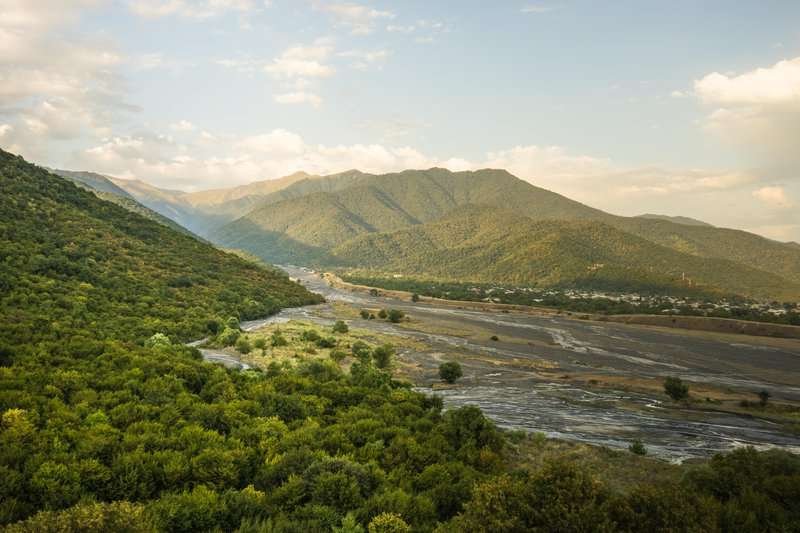 The Alazani floodplain forest is a natural monument with vines and oaks in Dedoplistskaro.