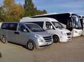 85 ლარი