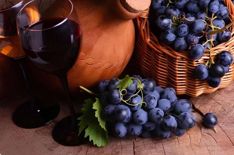 Blue grapes against the background of a jug and a glass of red wine.