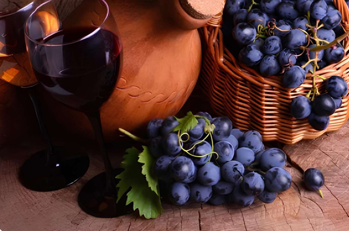 siniy_vinograd_na_fone_kuvshina_i_bokala_krasno