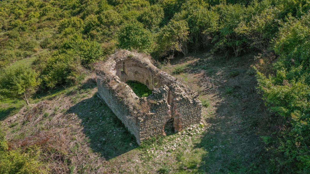 vejinis-gurgval